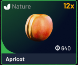 Apricot